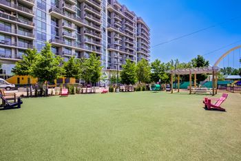 Dog park
